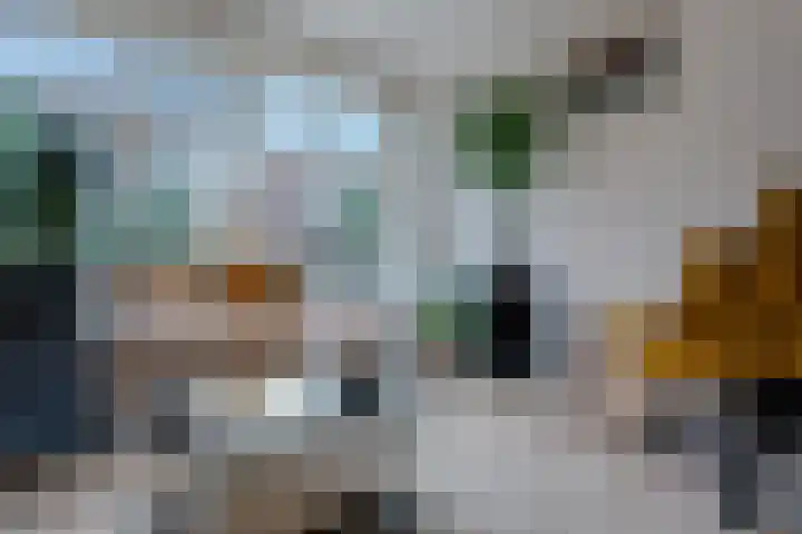 Gouwland 12 Roden thumbnail 14