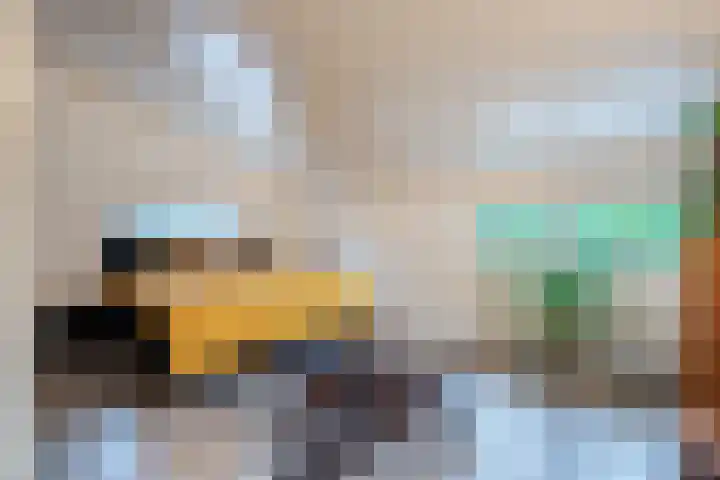 Gouwland 12 Roden thumbnail 33
