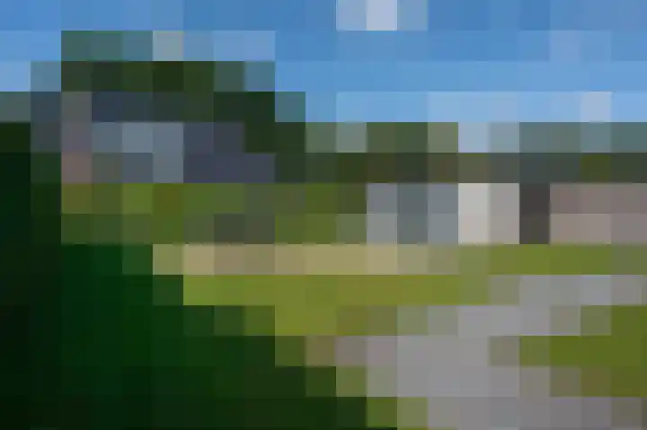 Gouwland 28 Roden thumbnail 25