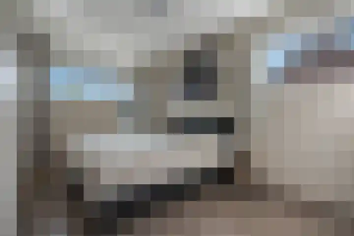 Gouwland 28 Roden thumbnail 33