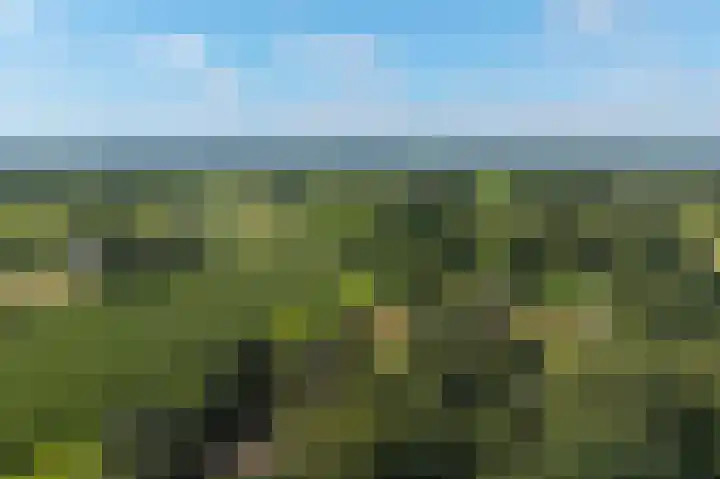 Gouwland 28 Roden thumbnail 49