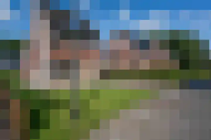 Gouwland 28 Roden thumbnail 5