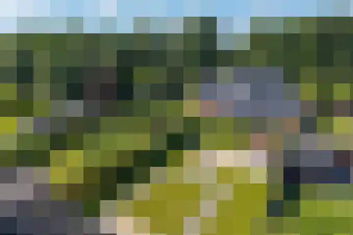 Gouwland 28 Roden thumbnail 56