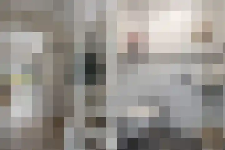 Gouwland 28 Roden thumbnail 8