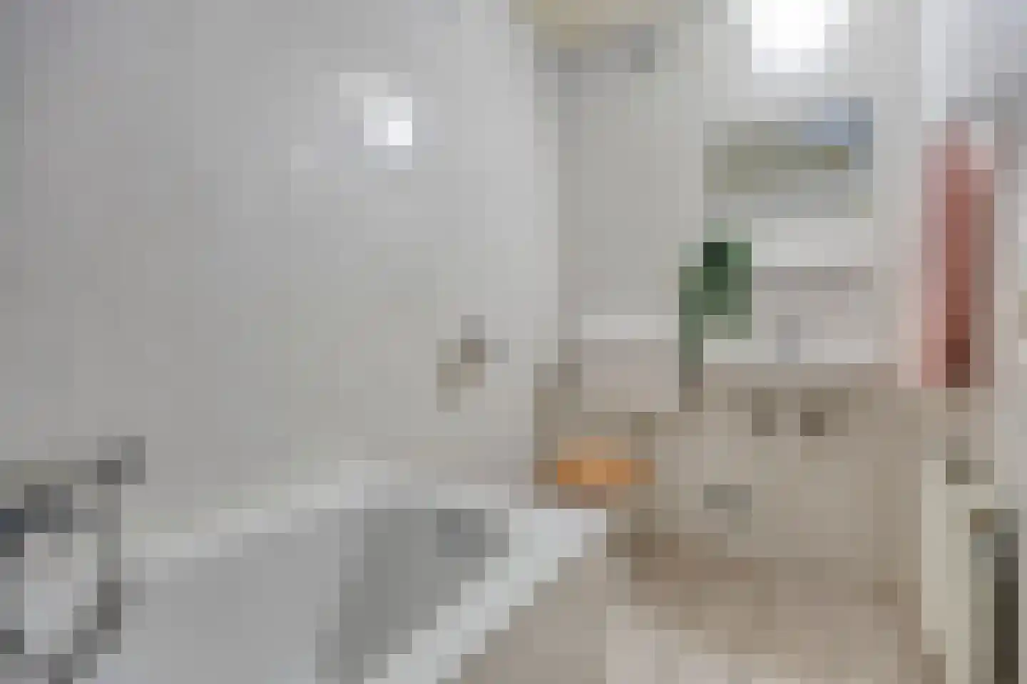 Gouwland 5 Roden thumbnail 21