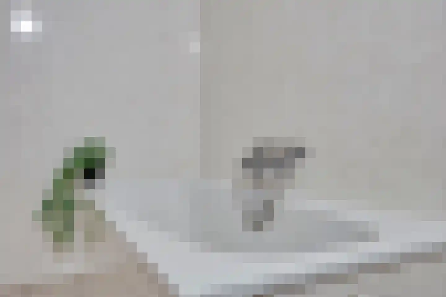 Gouwland 5 Roden thumbnail 22