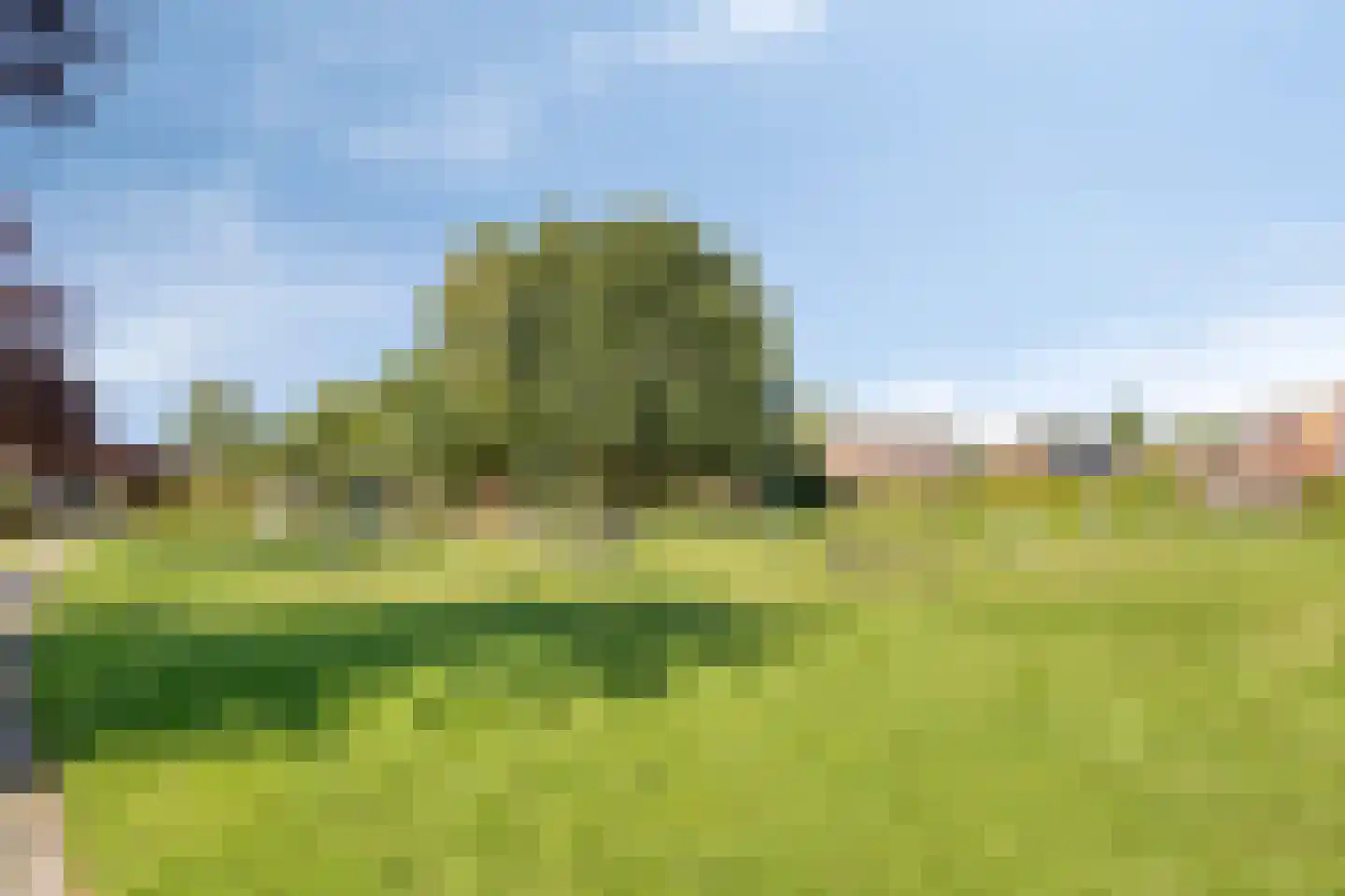 Gouwland 5 Roden thumbnail 36