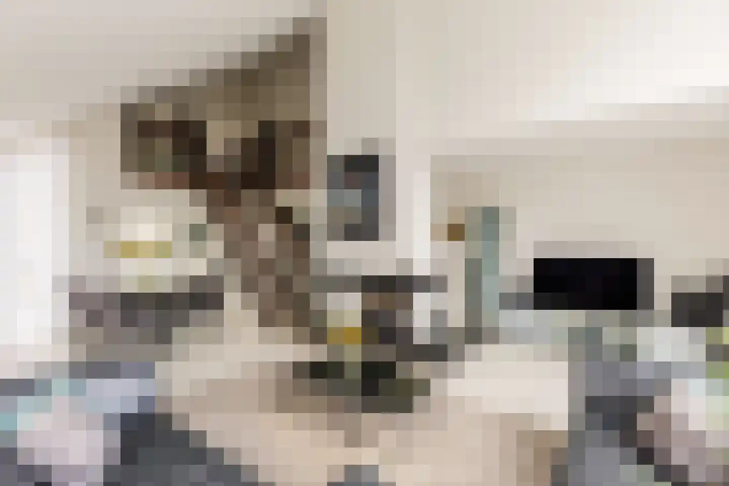 Gouwsingel 1 Assendelft thumbnail 10