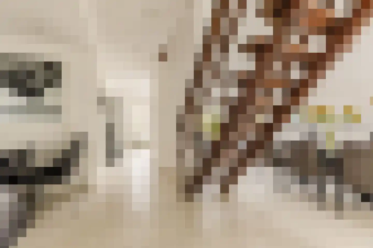 Gouwsingel 1 Assendelft thumbnail 12