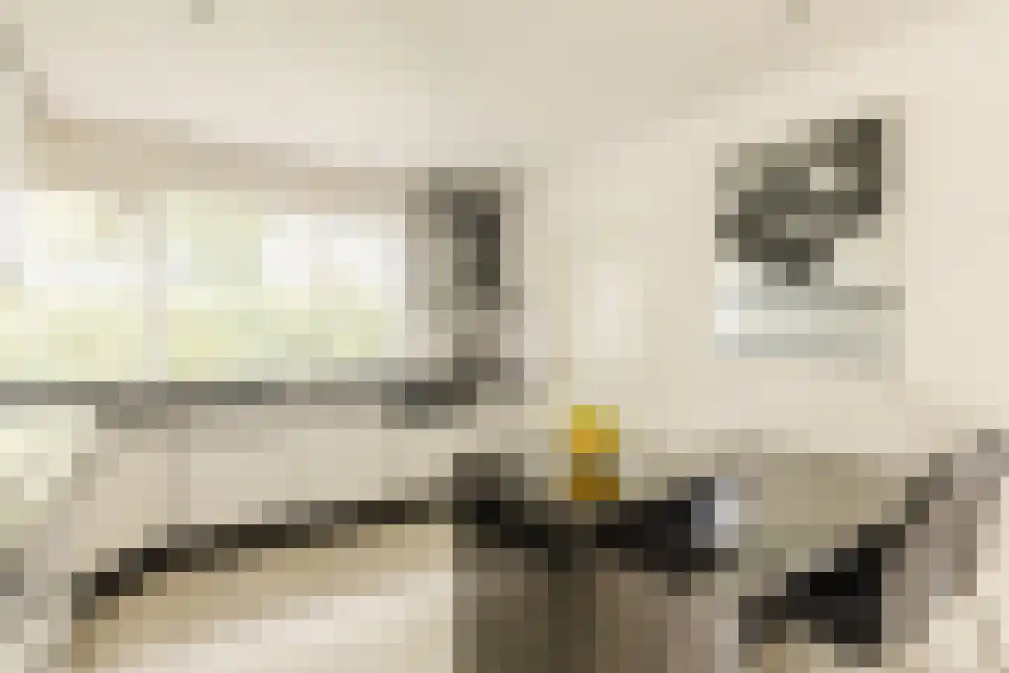 Gouwsingel 1 Assendelft thumbnail 13