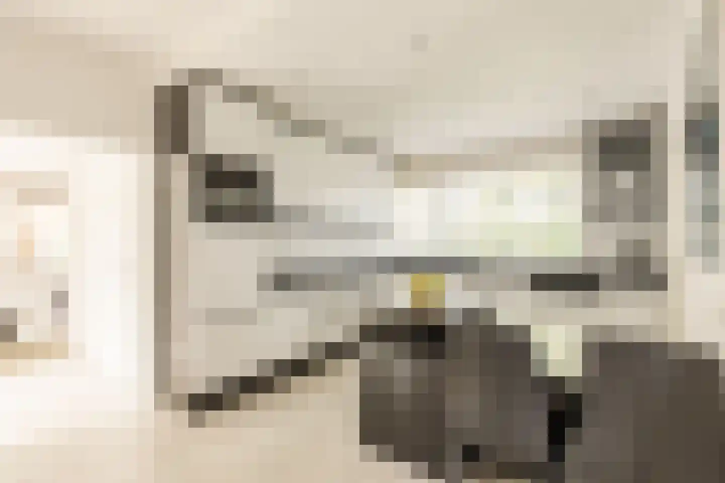 Gouwsingel 1 Assendelft thumbnail 14