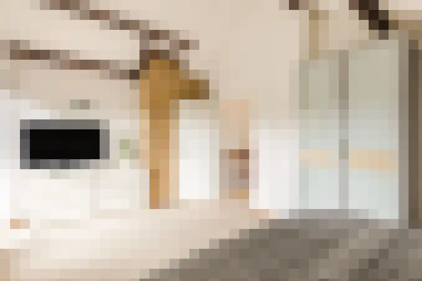 Gouwsingel 1 Assendelft thumbnail 26