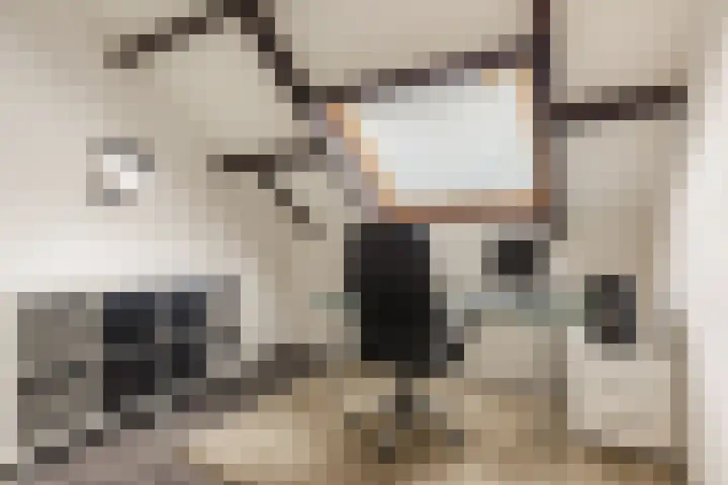 Gouwsingel 1 Assendelft thumbnail 27