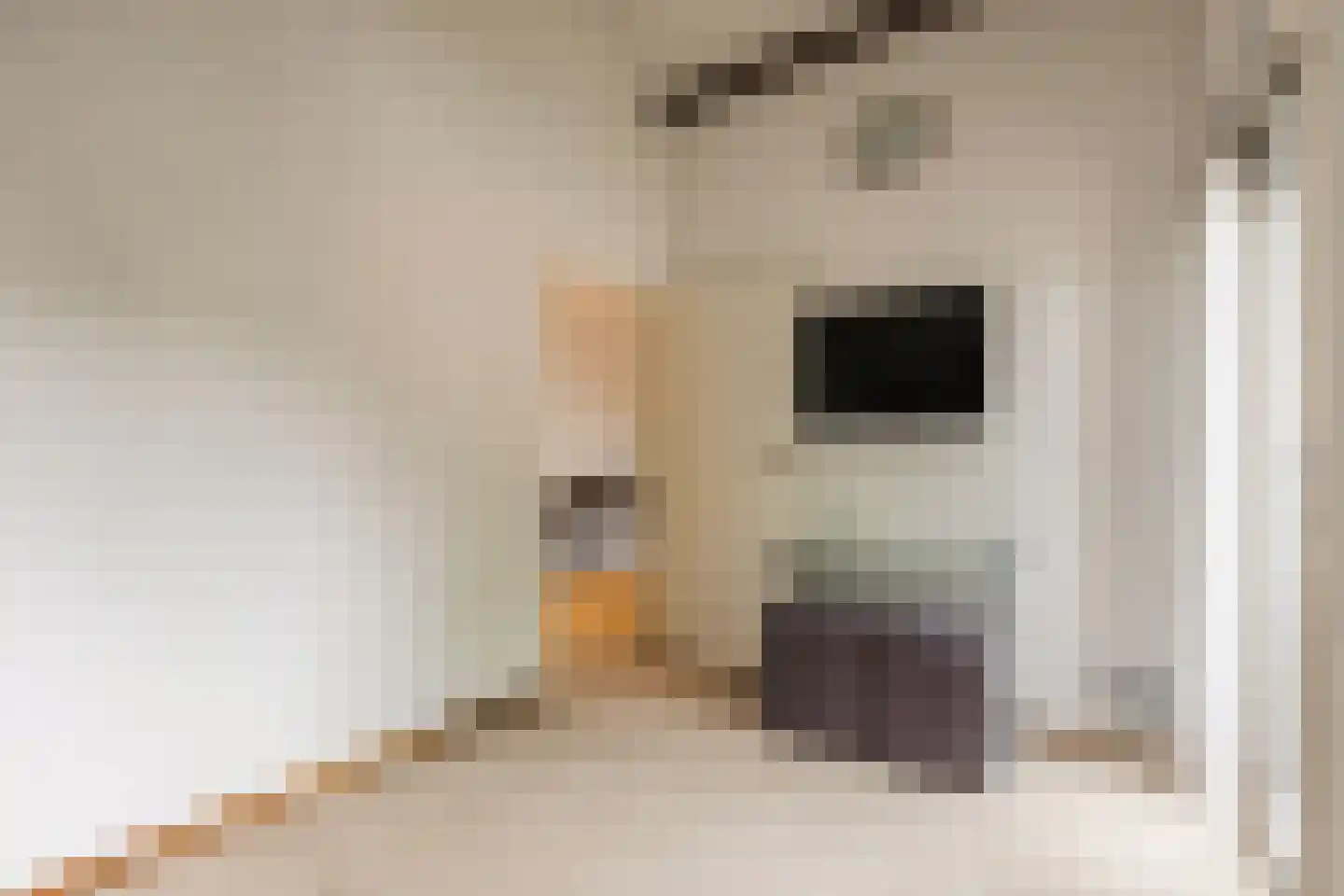 Gouwsingel 1 Assendelft thumbnail 30