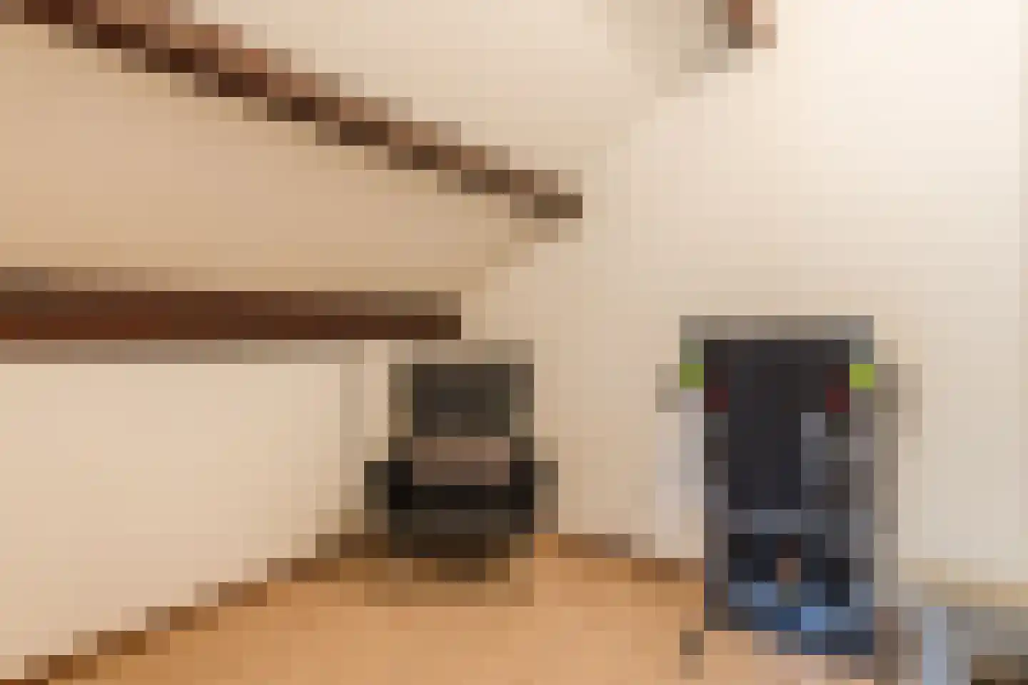 Gouwsingel 1 Assendelft thumbnail 31