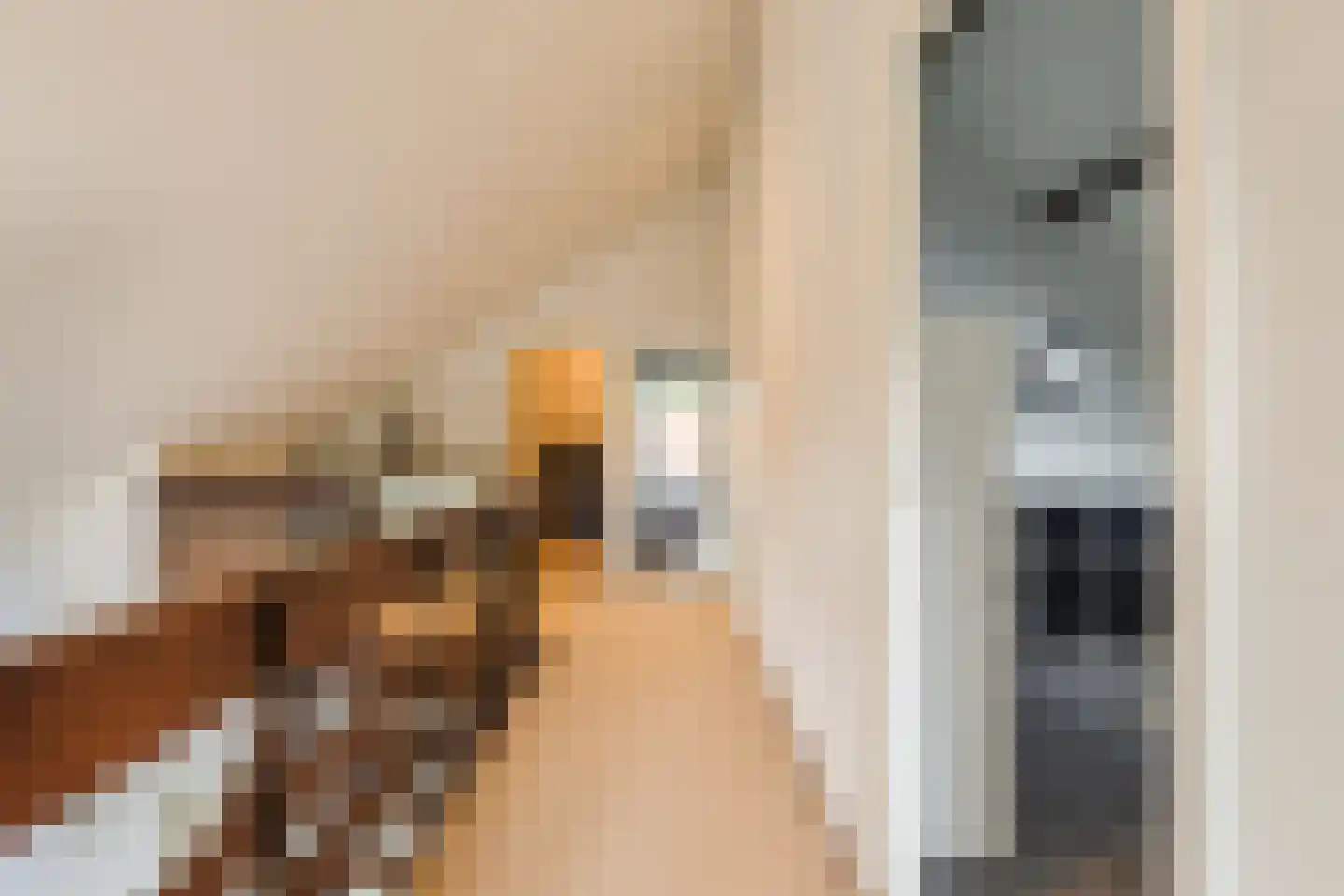Gouwsingel 1 Assendelft thumbnail 32