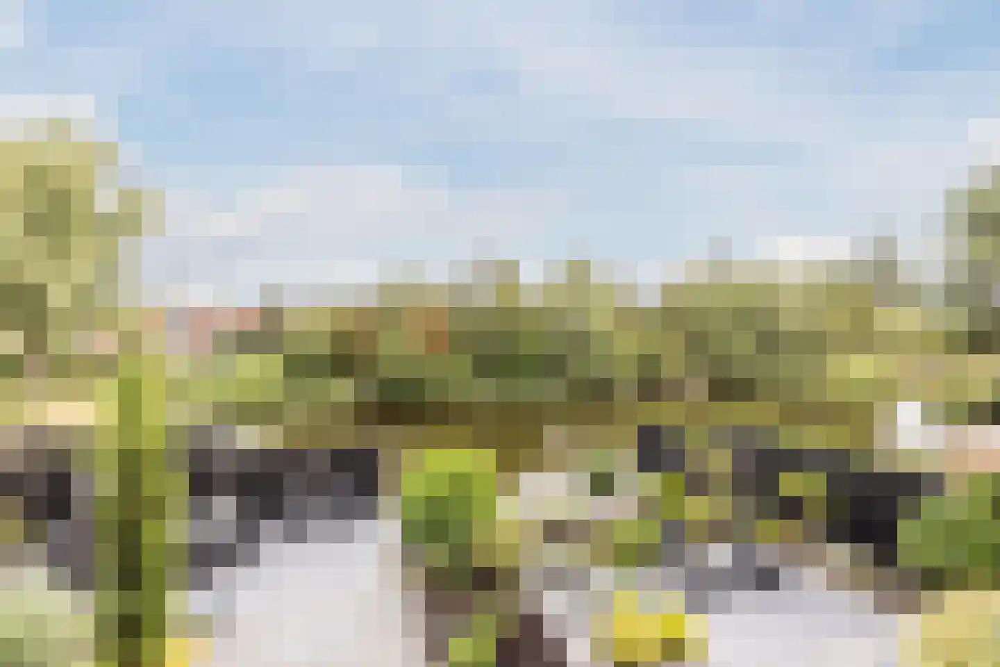 Gouwsingel 1 Assendelft thumbnail 36
