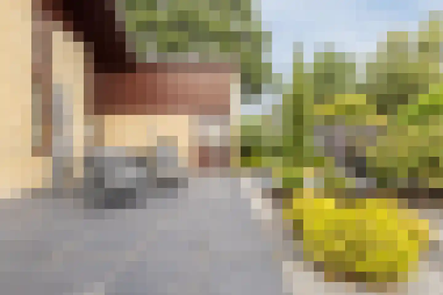 Gouwsingel 1 Assendelft thumbnail 39