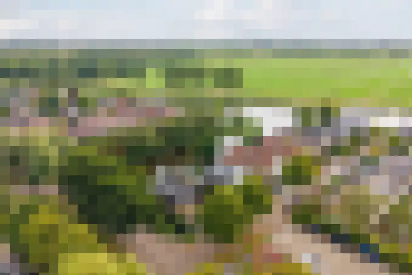 Gouwsingel 1 Assendelft thumbnail 4