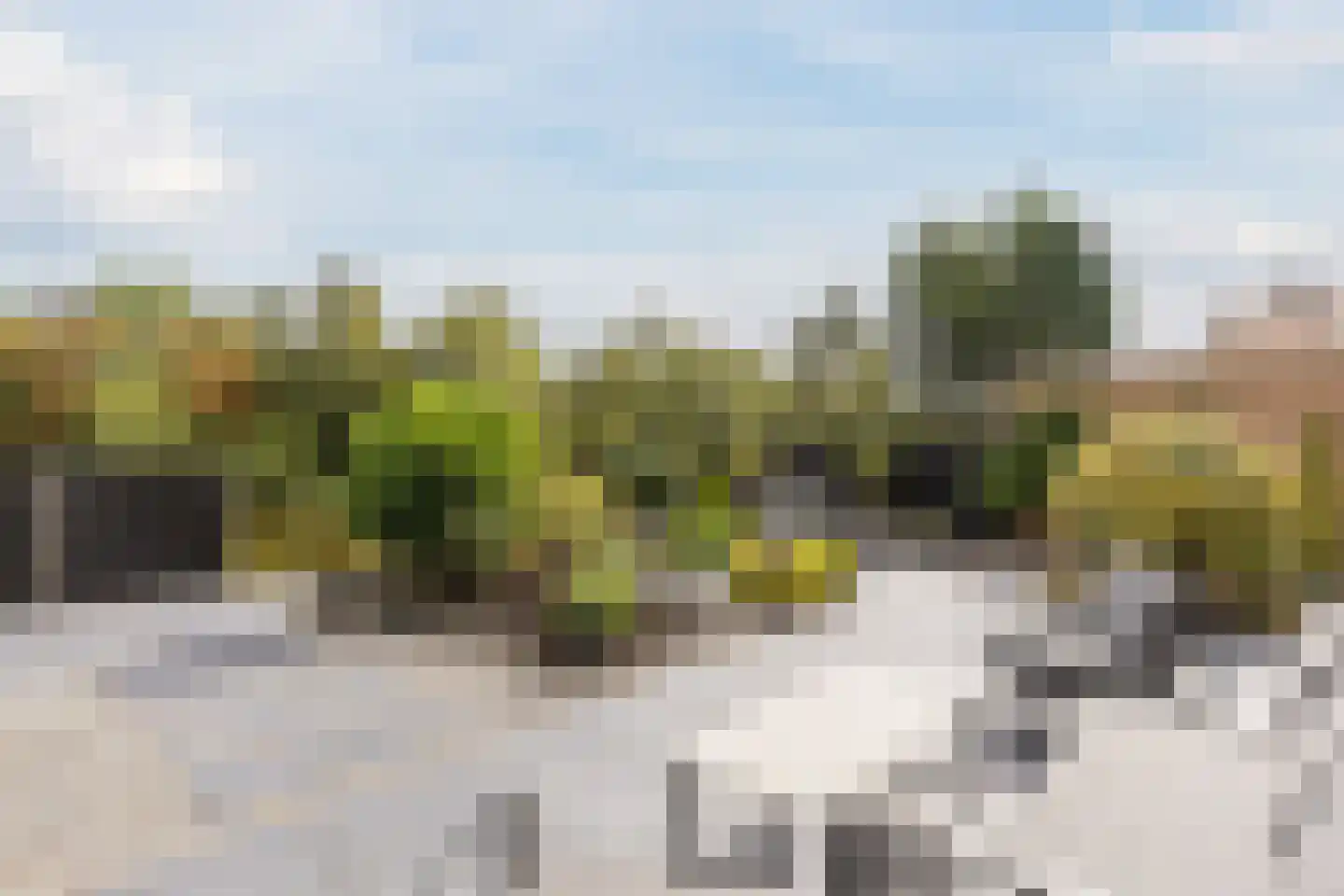 Gouwsingel 1 Assendelft thumbnail 40