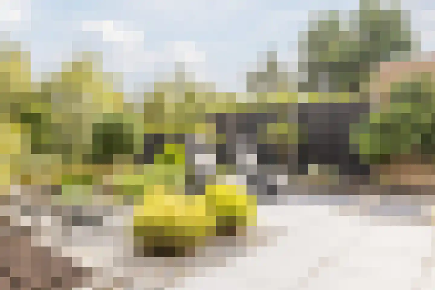 Gouwsingel 1 Assendelft thumbnail 42