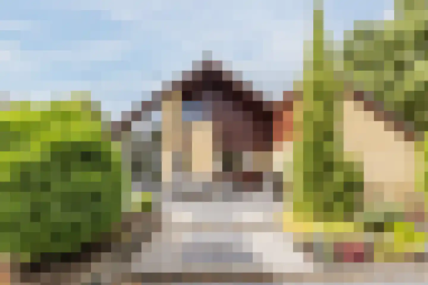 Gouwsingel 1 Assendelft thumbnail 45