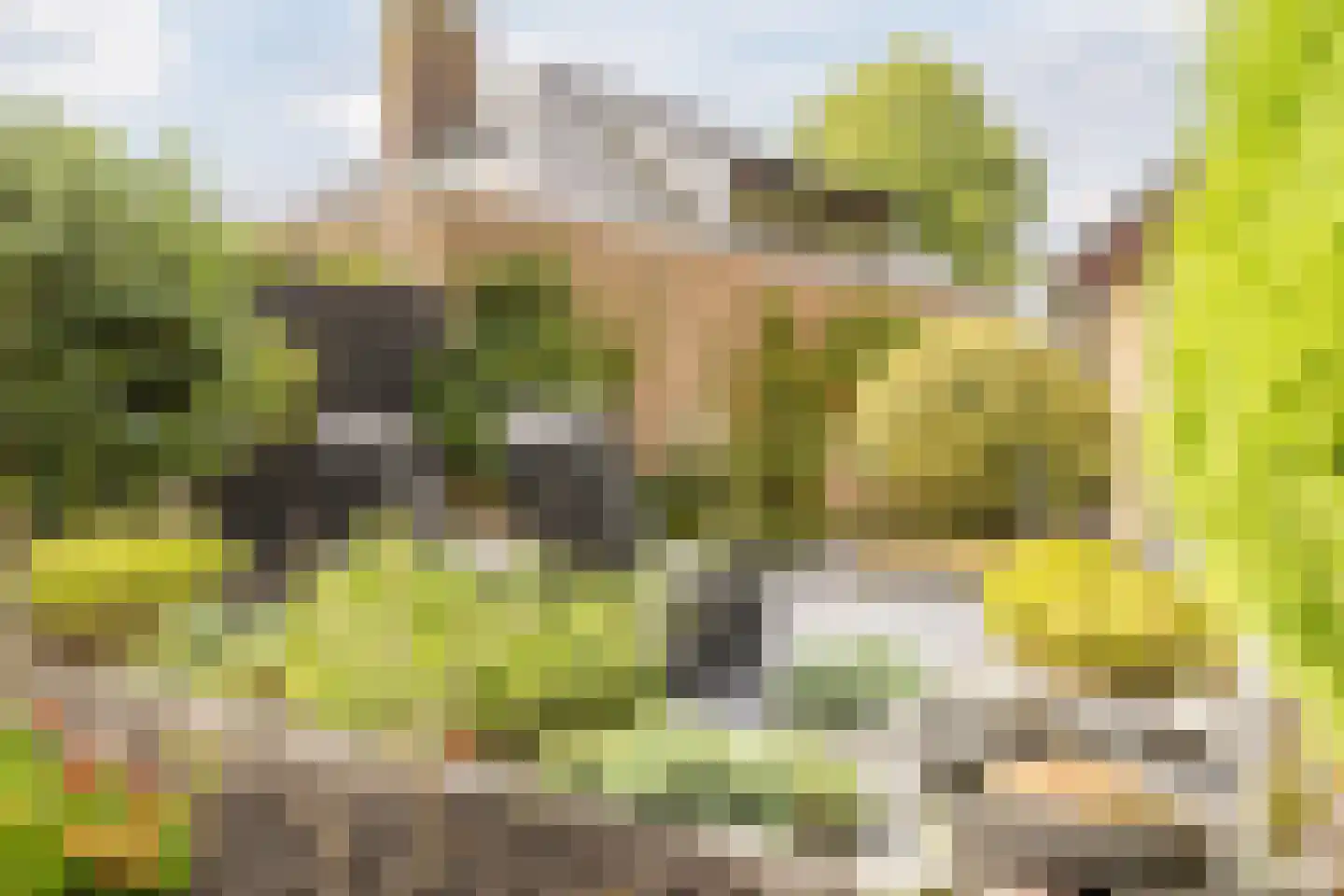 Gouwsingel 1 Assendelft thumbnail 46