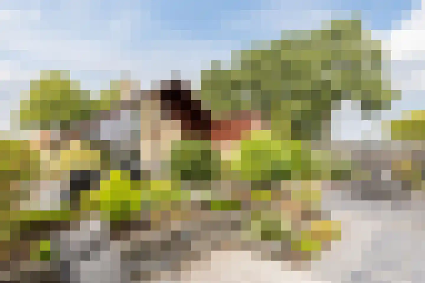 Gouwsingel 1 Assendelft thumbnail 47