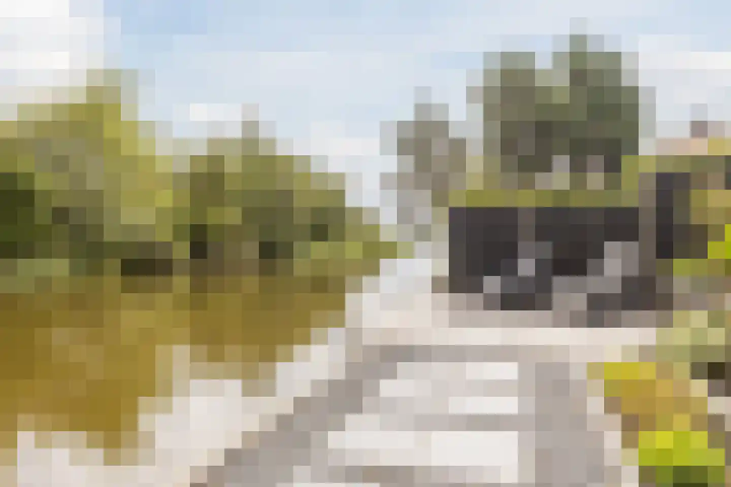 Gouwsingel 1 Assendelft thumbnail 48