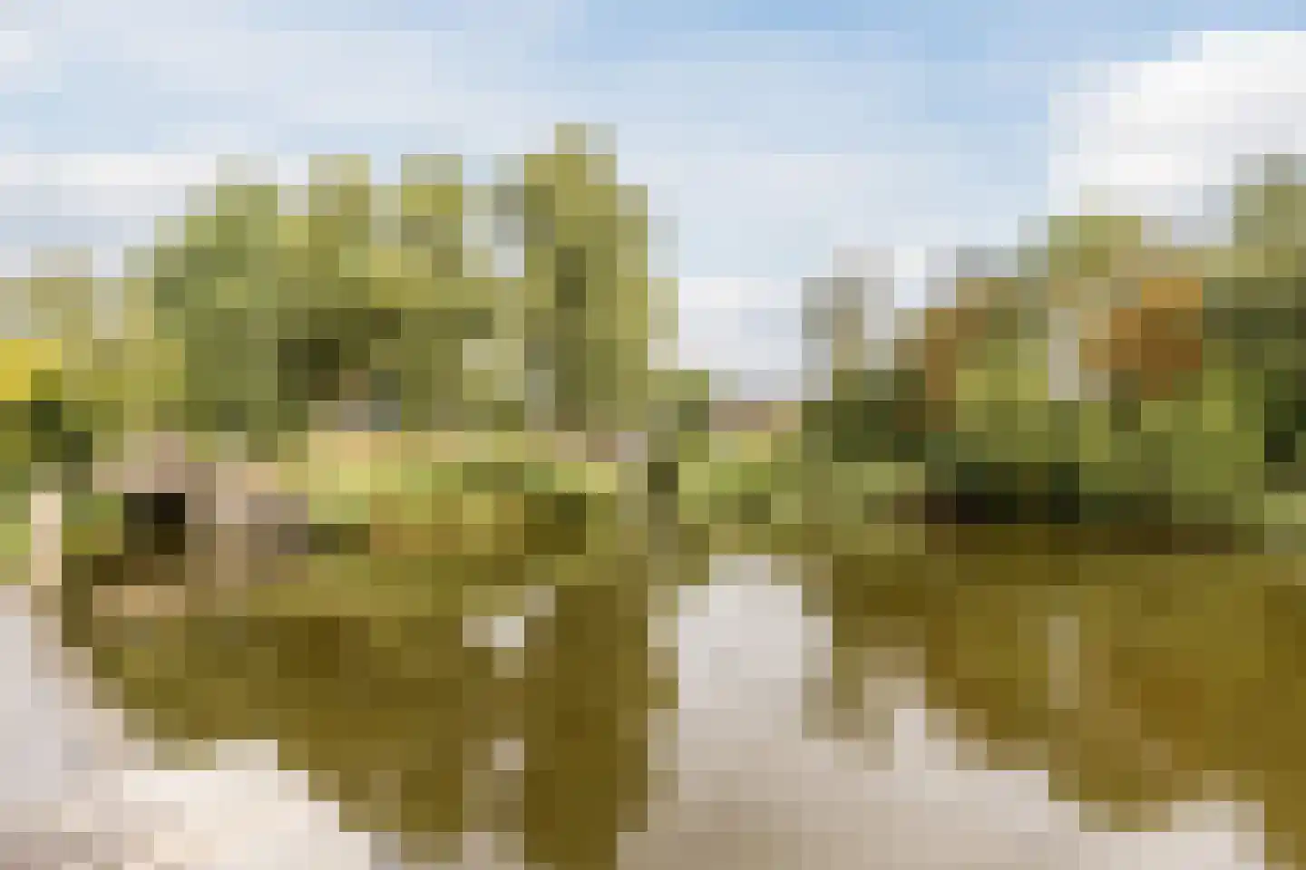 Gouwsingel 1 Assendelft thumbnail 50