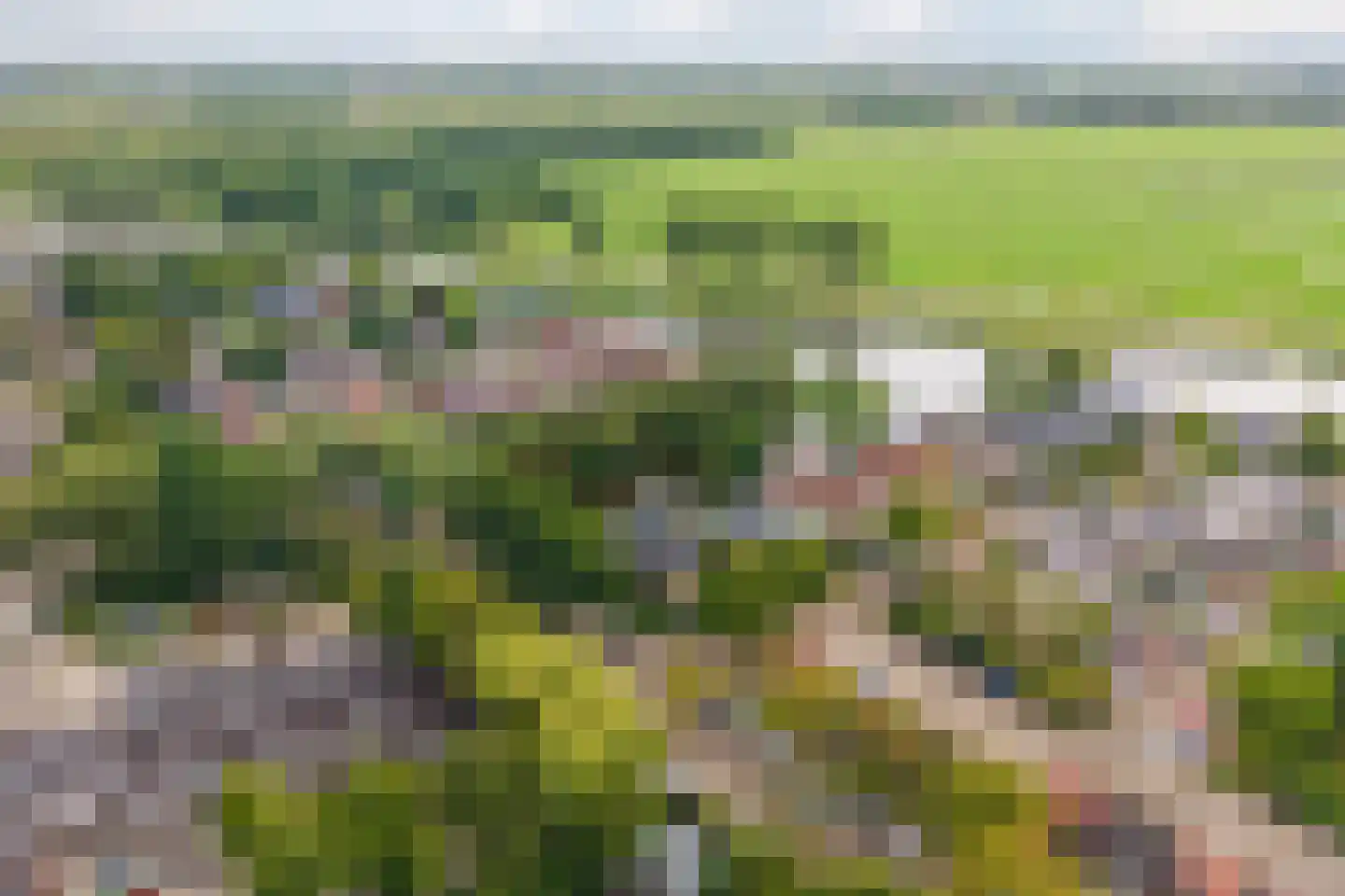 Gouwsingel 1 Assendelft thumbnail 56