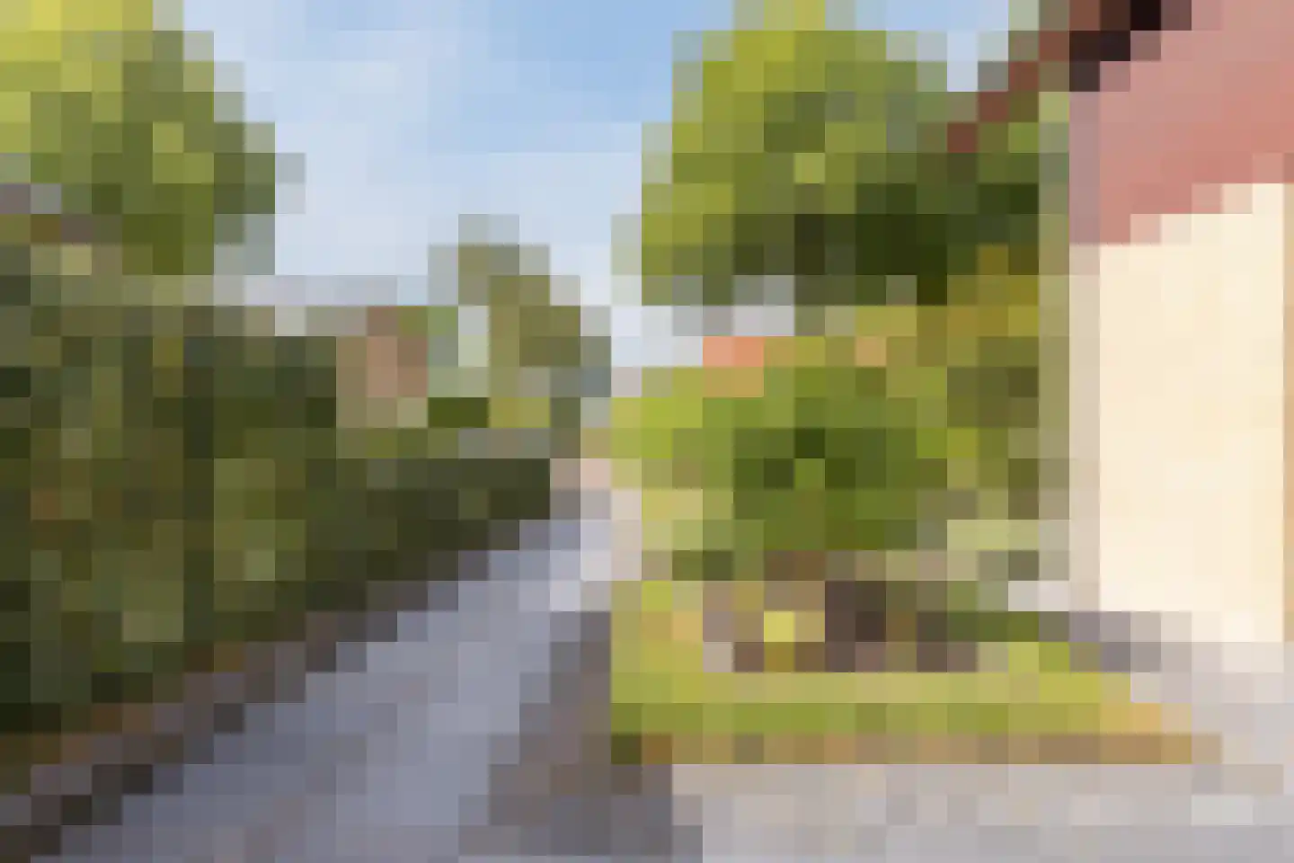 Gouwsingel 1 Assendelft thumbnail 64