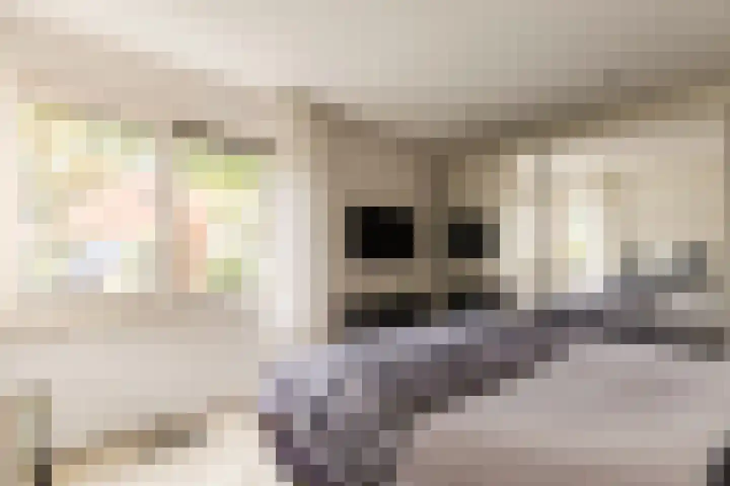 Gouwsingel 1 Assendelft thumbnail 65