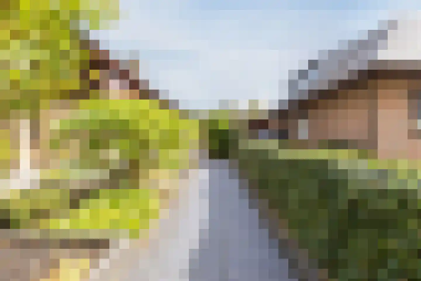 Gouwsingel 1 Assendelft thumbnail 7