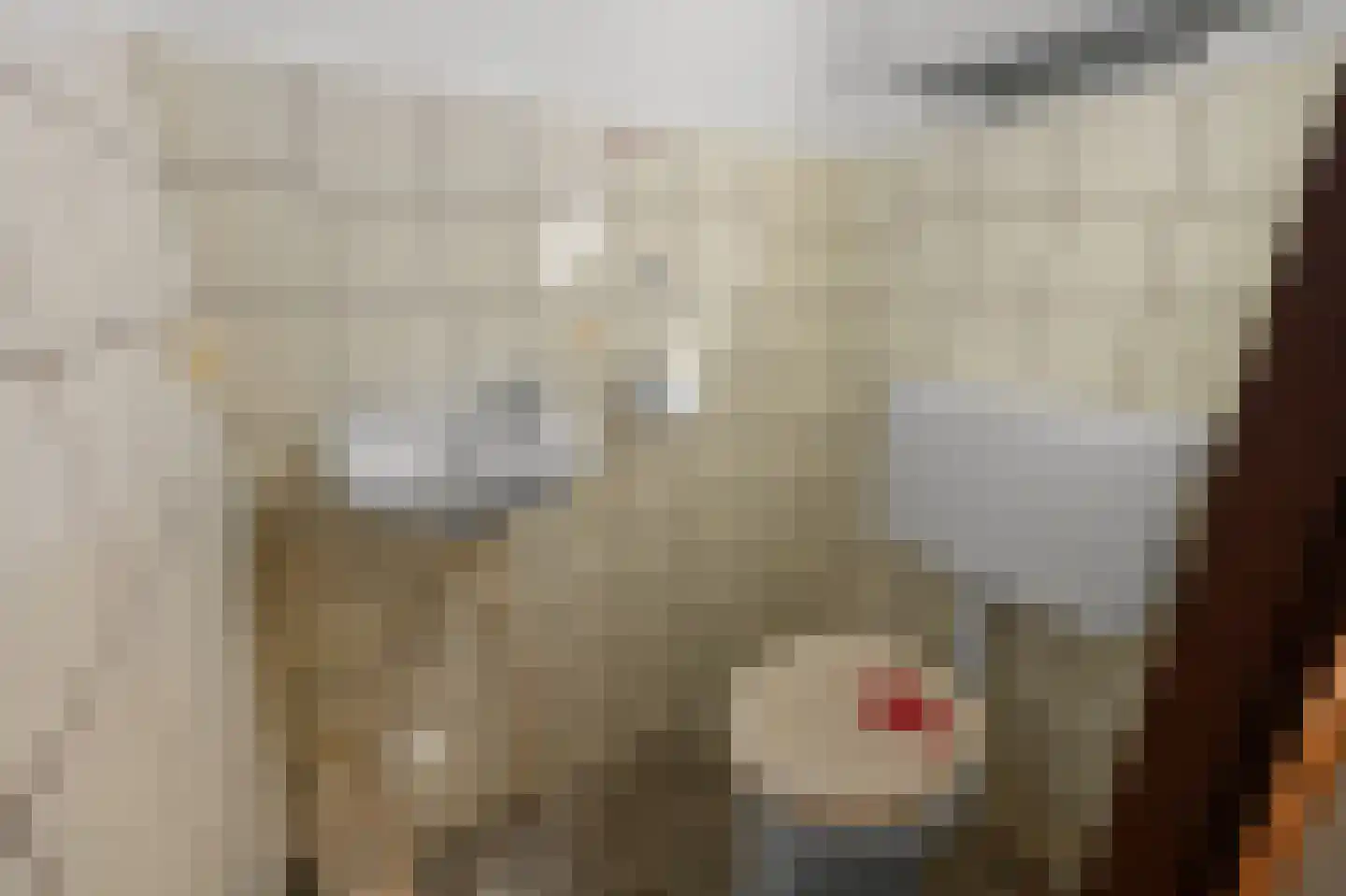 Gouwsingel 14 Assendelft thumbnail 11