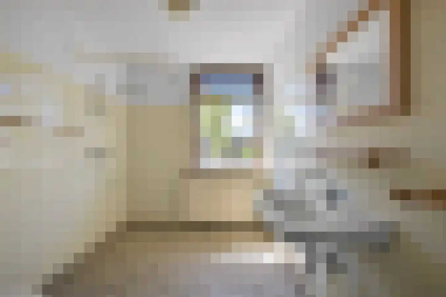 Gouwsingel 14 Assendelft thumbnail 18