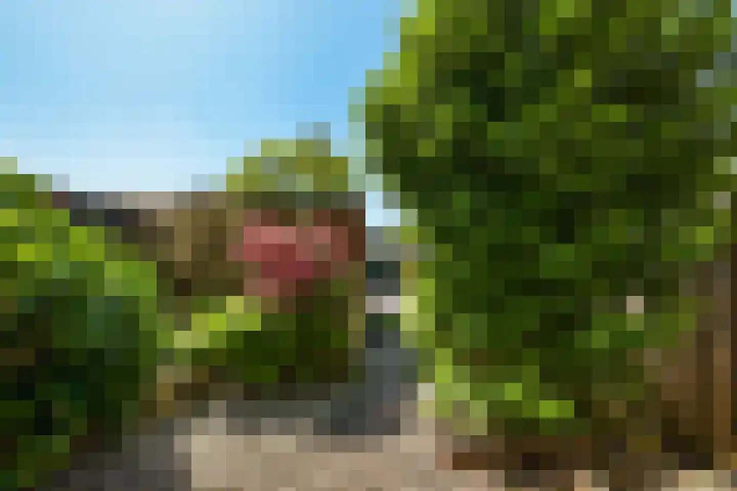 Gouwsingel 14 Assendelft thumbnail 30