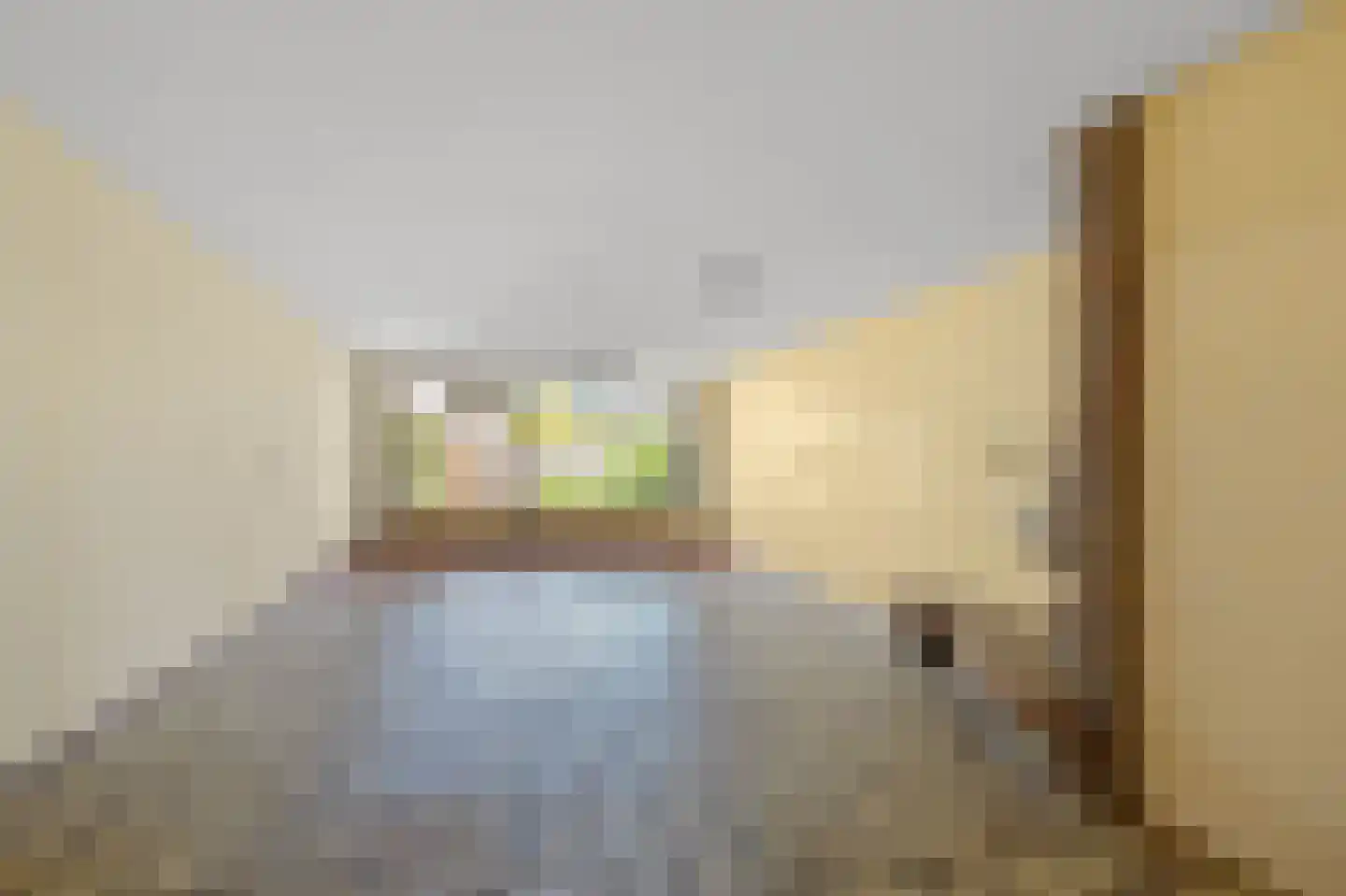 Gouwsingel 14 Assendelft thumbnail 4