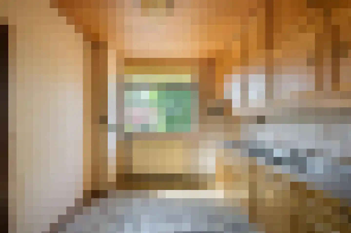 Gouwsingel 14 Assendelft thumbnail 8