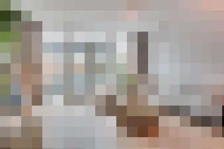 Gouwsingel 28 Assendelft thumbnail 11