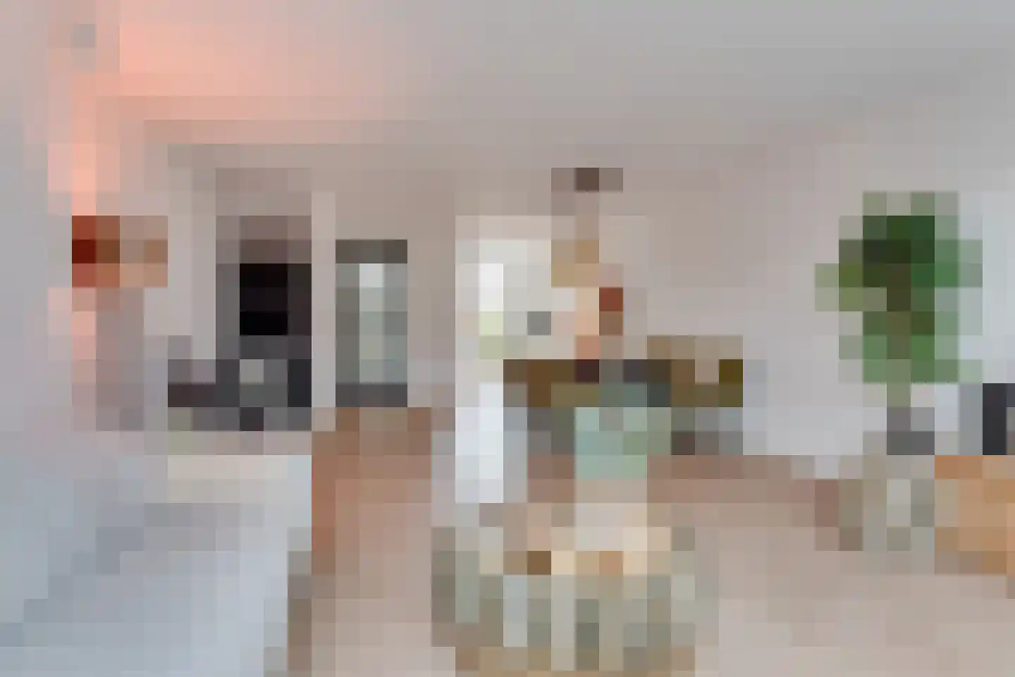 Gouwsingel 28 Assendelft thumbnail 14