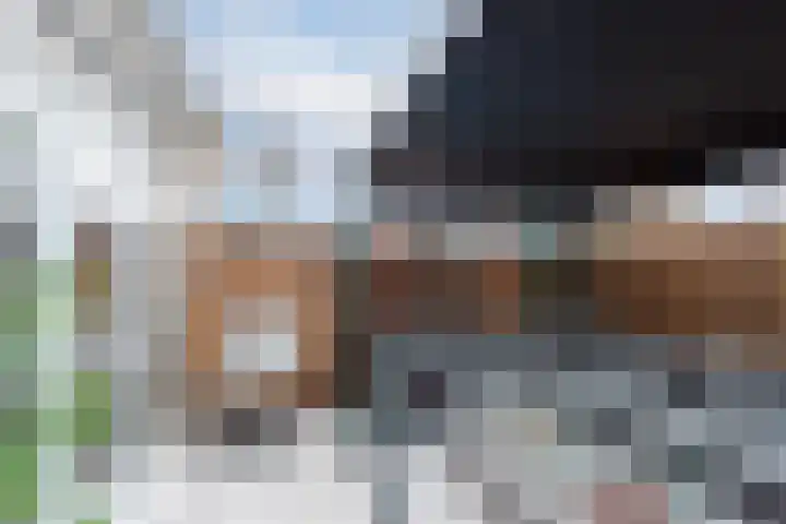 Gouwsingel 28 Assendelft thumbnail 14