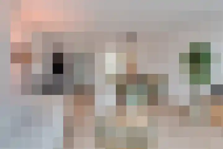 Gouwsingel 28 Assendelft thumbnail 16