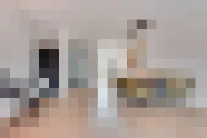Gouwsingel 28 Assendelft thumbnail 17