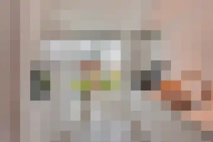 Gouwsingel 28 Assendelft thumbnail 21