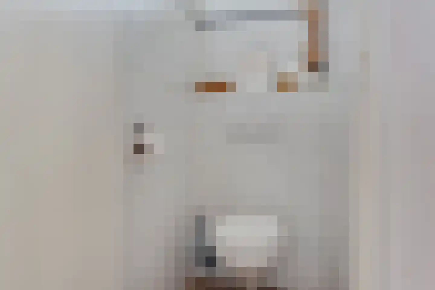 Gouwsingel 28 Assendelft thumbnail 23