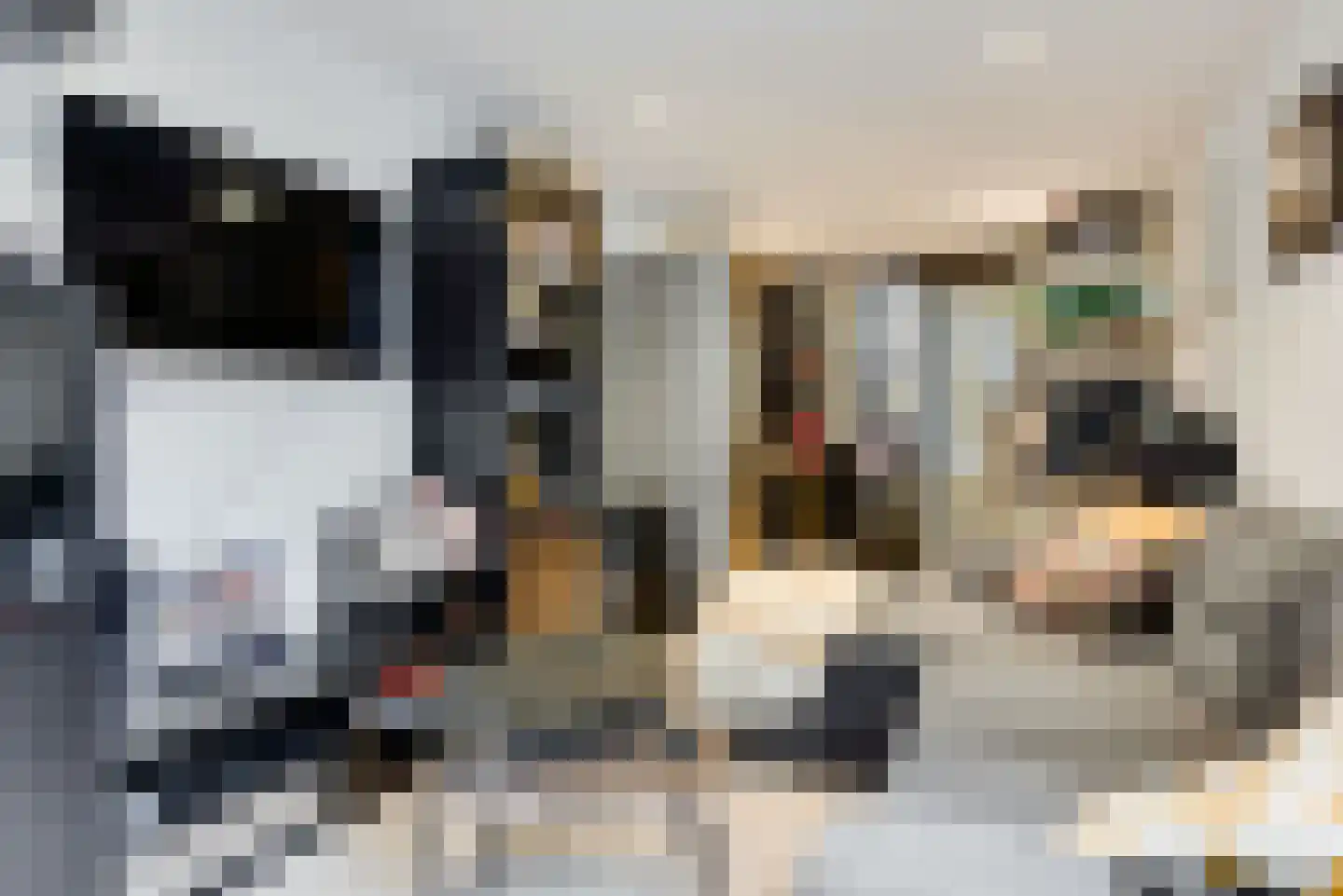 Gouwsingel 28 Assendelft thumbnail 37