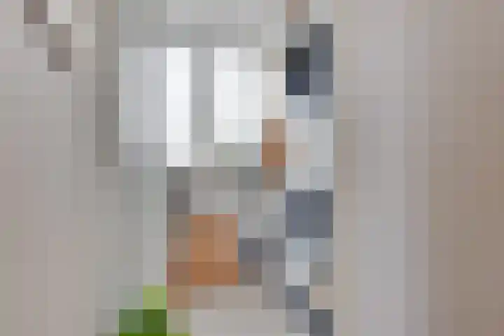 Gouwsingel 28 Assendelft thumbnail 37