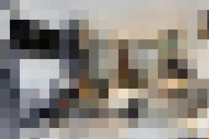 Gouwsingel 28 Assendelft thumbnail 39