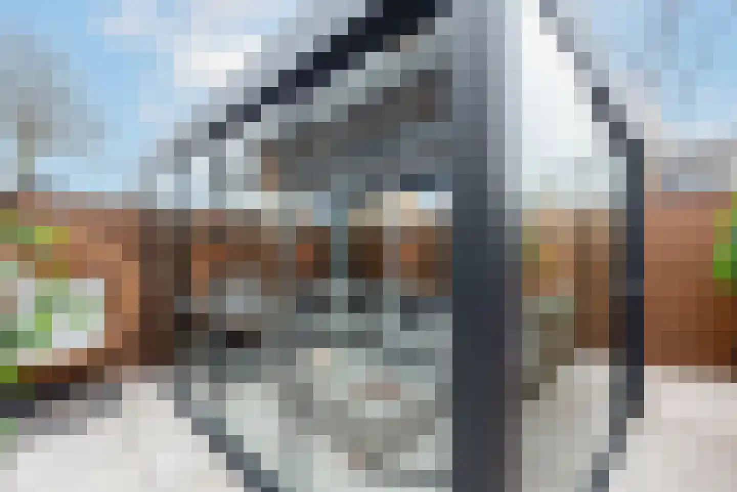 Gouwsingel 28 Assendelft thumbnail 40